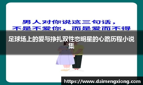 足球场上的爱与挣扎双性恋明星的心路历程小说集